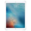 iPad Pro mieten